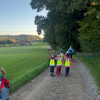 Bild-20261022-063537-55dd8c84_3775.jpeg